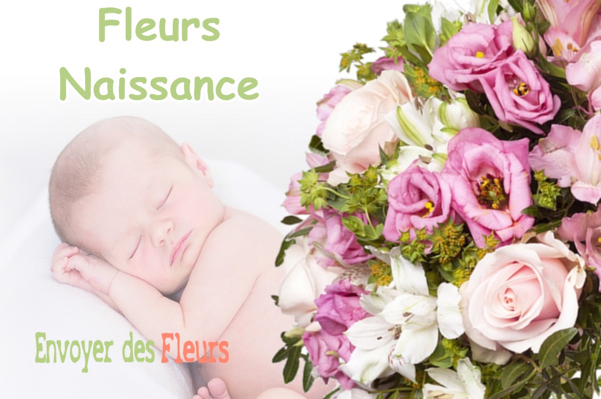 lIVRAISON FLEURS NAISSANCE à PONT-SUR-MEUSE